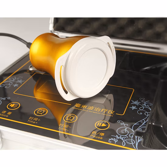 糖尿病性腎症ミリ波治療装置